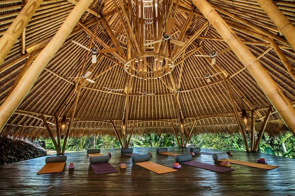 The Ultimate Guide to Yoga Retreats in Bali (2025): Locations, Prices & Reviews
