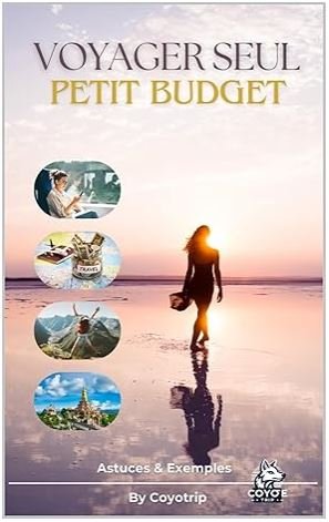 voyager seul avec un petit budget ebook