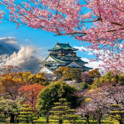 Japan Cherry Blossom Season 2025: Best Viewing Spots & Travel Tips