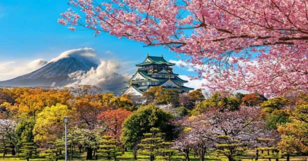 Japan Cherry Blossom Season 2025: Best Viewing Spots & Travel Tips