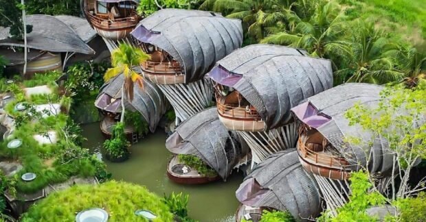 Bali Eco-Friendly Resorts 2025: Stay Green in Paradise