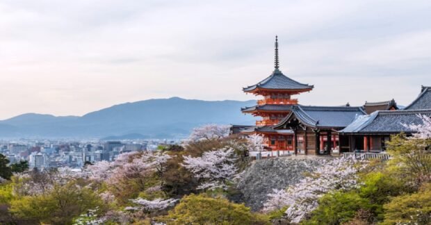 10 Day Japan Itinerary for First Timers: Tokyo, Kyoto & Osaka