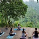 The Ultimate Guide to Yoga Retreats in Bali (2025): Locations, Prices & Reviews